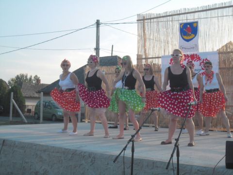 2014_07_19_II. Kisrozvágyi Falunap (7)
