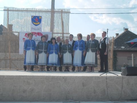2014_07_19_II. Kisrozvágyi Falunap (77)