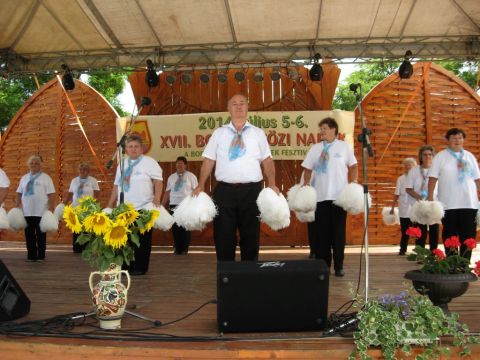 2014_bodrg-kozi-napok_kepek_pacin (147)