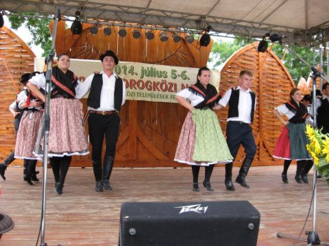 2014_bodrg-kozi-napok_kepek_pacin (215)