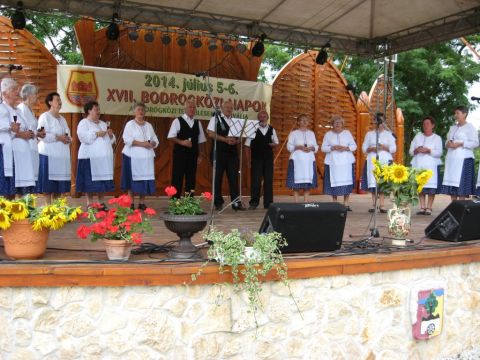 2014_bodrg-kozi-napok_kepek_pacin (217)