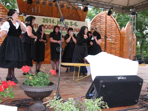 2014_bodrg-kozi-napok_kepek_pacin (223)