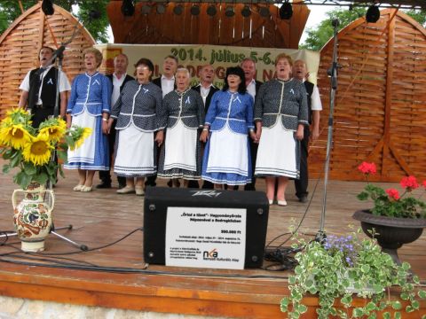 2014_bodrg-kozi-napok_kepek_pacin (228) másolata