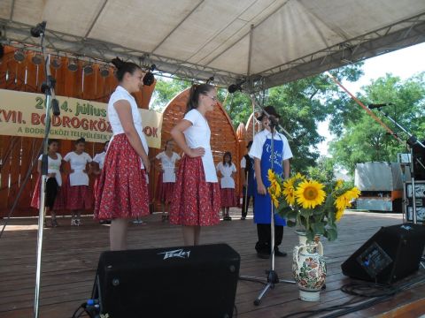 2014_bodrg-kozi-napok_kepek_pacin (62)