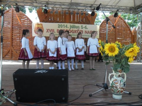 2014_bodrg-kozi-napok_kepek_pacin (67)