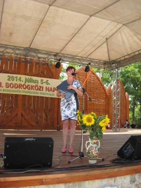 2014_bodrg-kozi-napok_kepek_pacin (79)