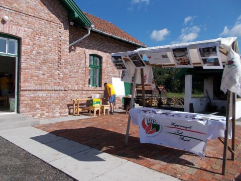 2014_08_16_cigánd_birka_a_kondérban (1)
