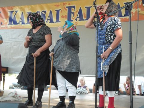 Karcsa_2014_08_09_falunap (24)
