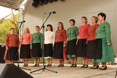 2014_09_20_cigánd_bélesfesztivál (22)