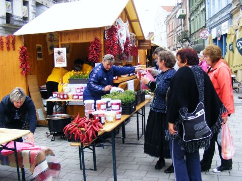 2014_09_26_cigánd_közfoglalkoztatott_kiállítás_Miskolcon (3)