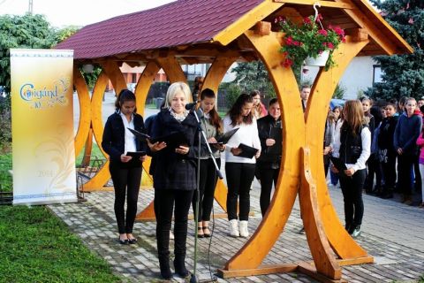 2014_10_06_ciánd_aradi_vértanúk_mmegemlékezés (2)