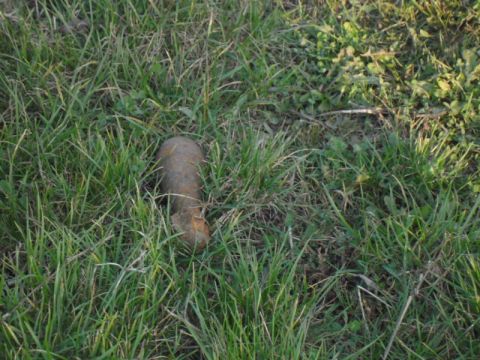 2014_10_30_Bomba_Kisrozvágy (4)