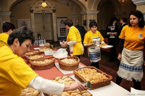 2015_02_12_cigánd_megyei-közgyűlésen az apróbéles (4)