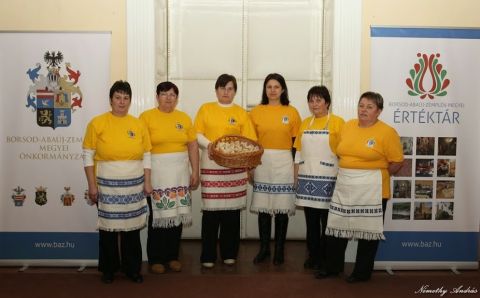 2015_02_12_cigánd_megyei-közgyűlésen az apróbéles (6)