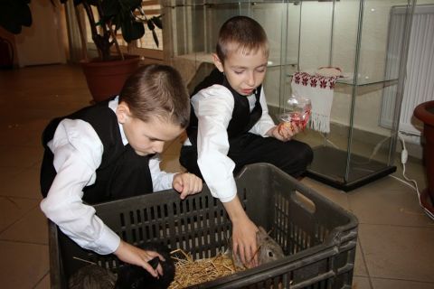 2015_03_31_cigánd_húsvétolás (28)