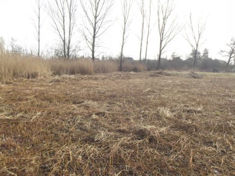 Karcsa_2015_04_22_közmunka (5)