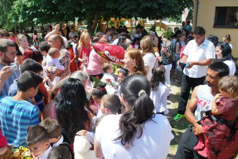 2015_06_05_ovis ballagás (1)