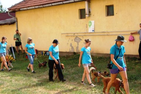 2015_06_14_cigánd_gyereknap (131)