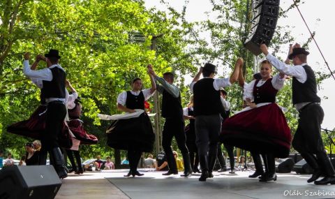2015_08_21_cigánd_városnap (8)