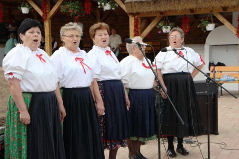 2015_08_20_cigánnd_államalapítás_ünnepe (94)