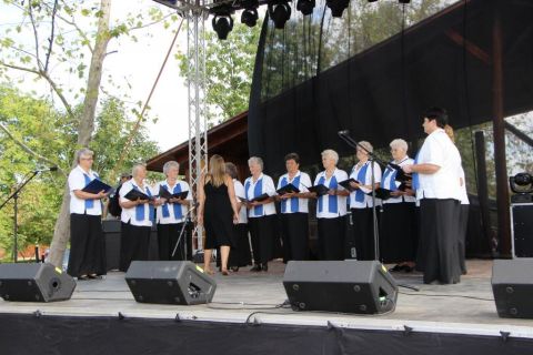2015_08_21_cigánd_városnap (70)