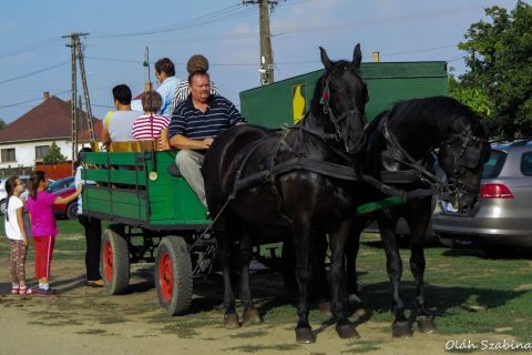 2015_09_19_cigánd_Bélesfesztivál (30)