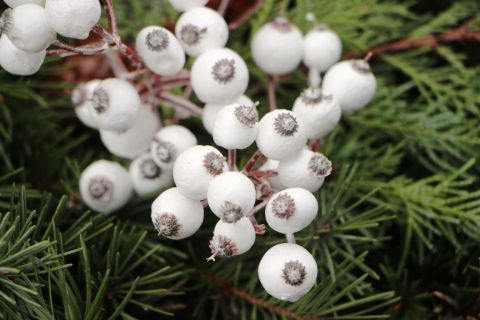 2015_12_20_cigánd_advent_4 (1)