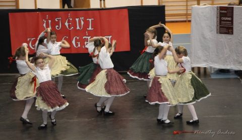 2016_01_28_cigánd_magyar kultúra hete_SAMI gála (15)