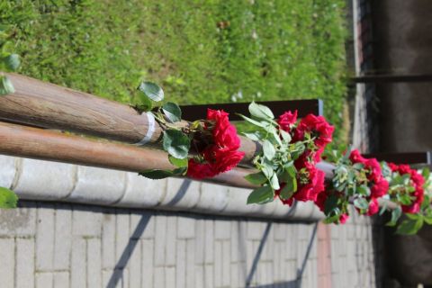 2016_06_03_cigánd_óvodai ballagás (2)