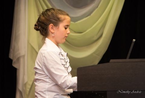 2016_06_11_cigánd_20 éves a Széptan (16)
