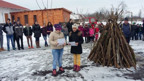 jelmezes_felvonulás_2017 (17)
