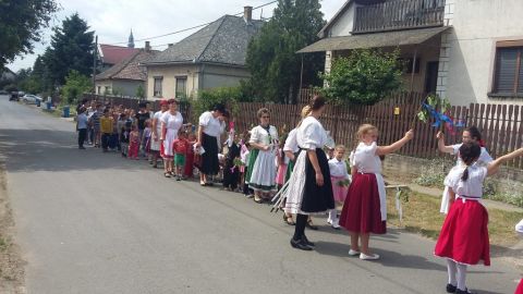 nagyrozvágyi_pünkösdölő_képek (26)