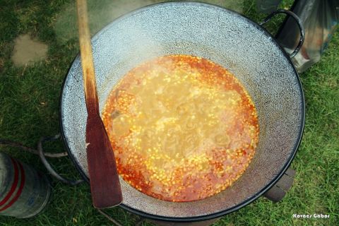 2017_08_20_cigánd_városnap (25)