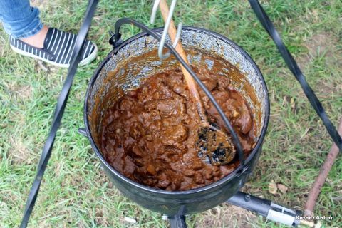2017_08_20_cigánd_városnap (44)