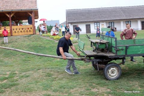 2017_08_20_cigánd_városnap (56)