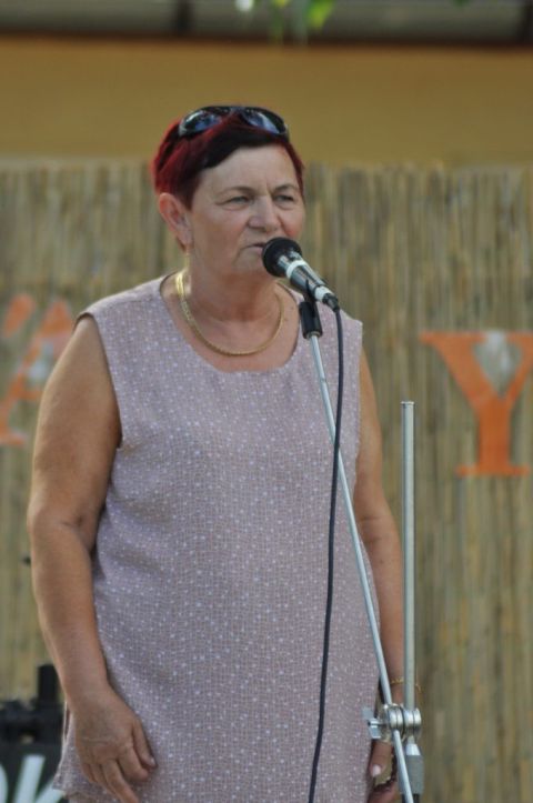 2017_falunap_válogatás (78) másolata másolata