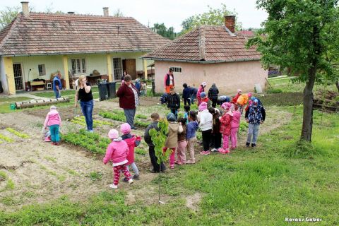2017_09_06_cigánd_Ovi-kert (17)