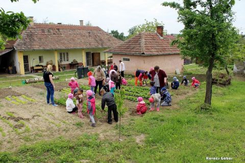 2017_09_06_cigánd_Ovi-kert (31)