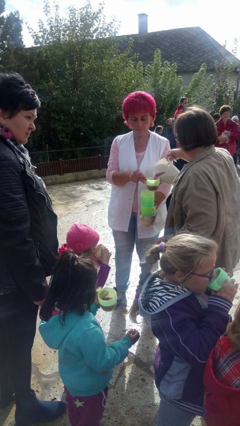 szüreti_mulatság_2017 (9)