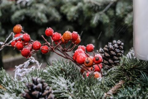 2017_12_03_cigánd_első advent (2)