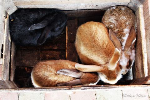 2018_03_31_cigánd_húsvét a múzeumportán (18)