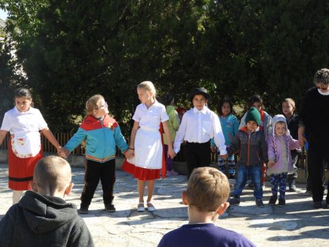 szüreti mulatság (133)