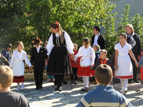 szüreti mulatság (135)
