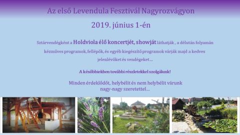 Az első levendula fesztivál Nagyrozvágyon 7777777