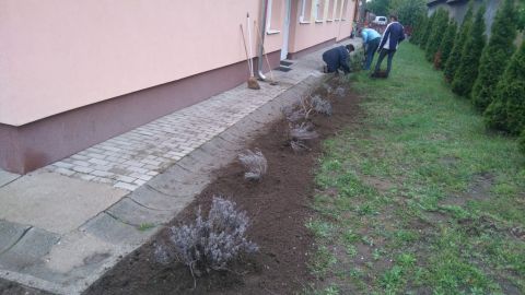 segítek neked 2019.05.10 (20)
