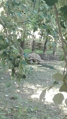 kirándulás ökocentrum tisza tavi (10)