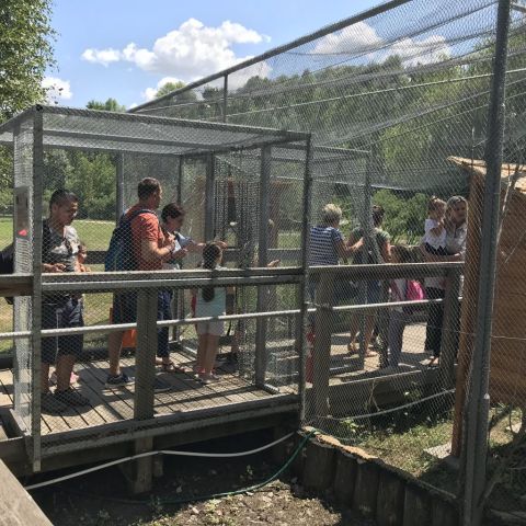 kirándulás ökocentrum tisza tavi (63)