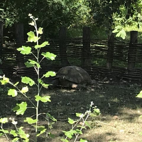 kirándulás ökocentrum tisza tavi (66)
